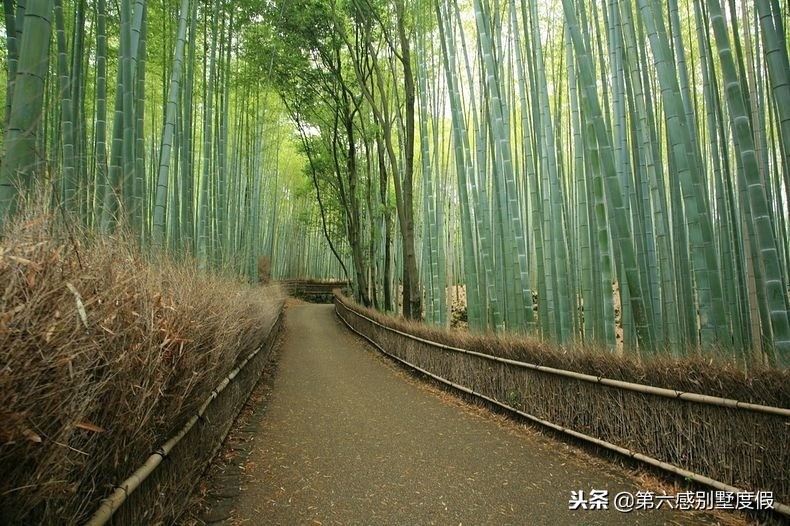 小众旅游打卡点风景绝美,5月适合打卡的小众旅游地