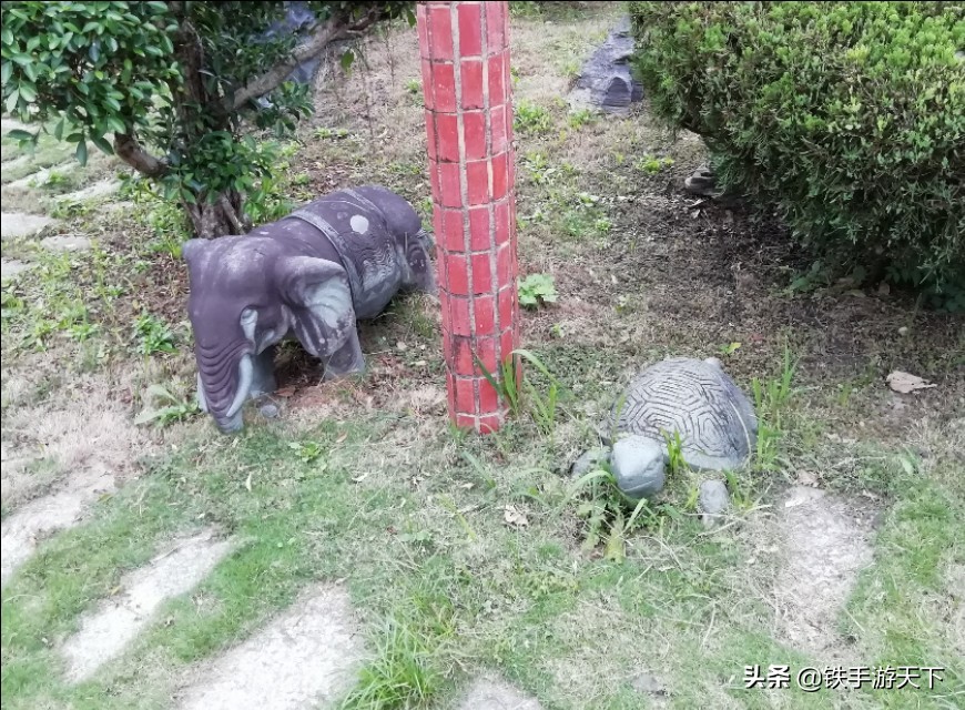台湾环游记完整视频,台湾花莲游记