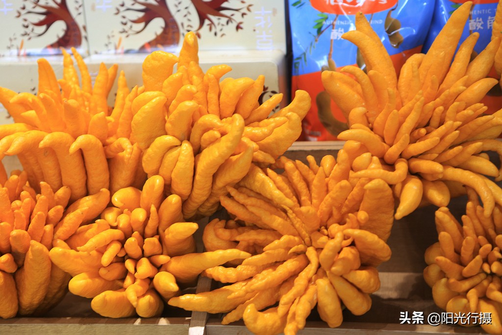 云南腾冲热海温泉,云南腾冲热海温泉井