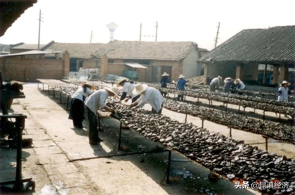 昆明传统滇菜,昆明前十名滇菜招牌菜