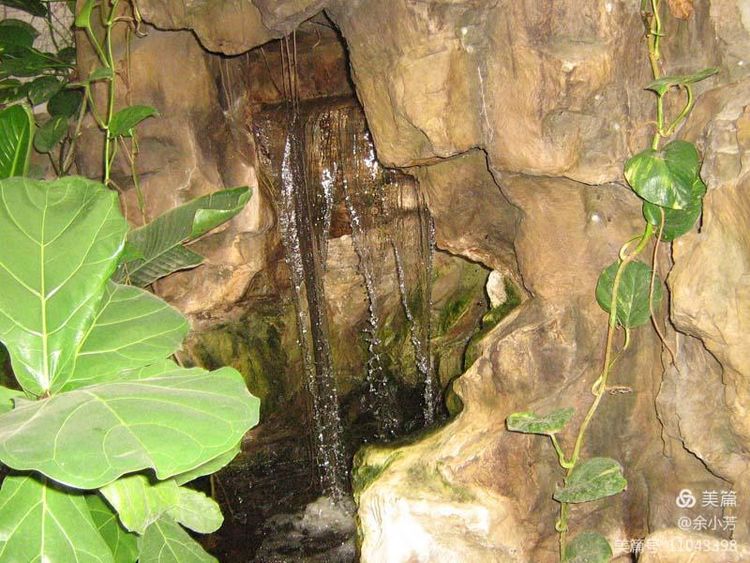 上海昆虫馆,上海昆虫博物馆研学