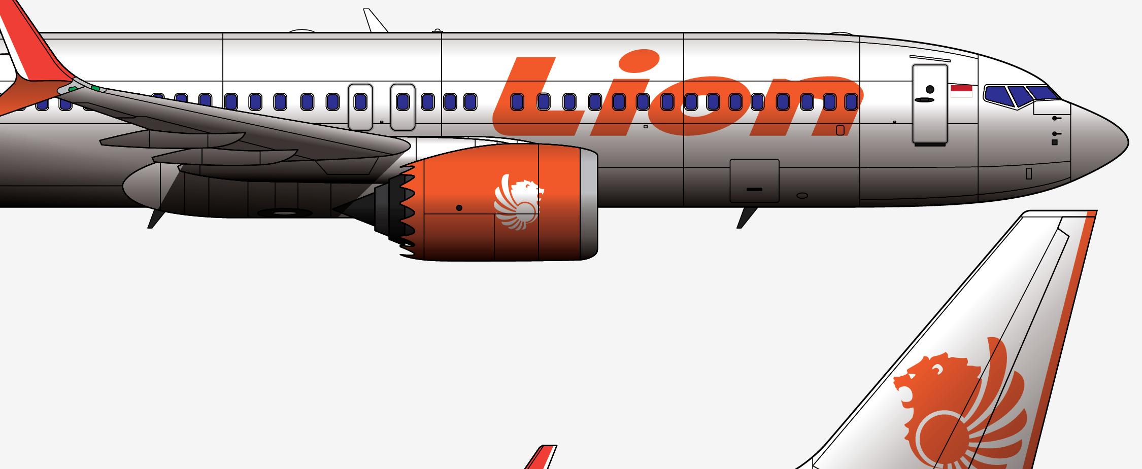 737max8狮子,737max8客机视频