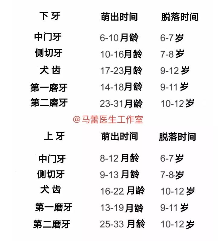 宝宝长了小白牙每天早晚都要刷,想要宝宝白白的多吃什么