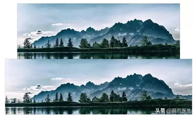 这猫睡姿也太销魂了,猫睡相