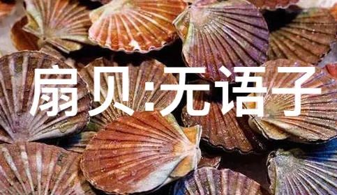 獐子岛扇贝跑了又回来,獐子岛扇贝出走周期