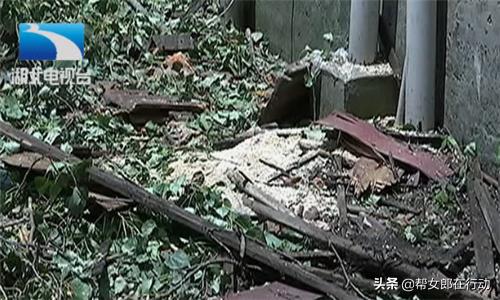 一场狂风掀掉了房顶,一场大风吹倒一棵大树压坏居民房