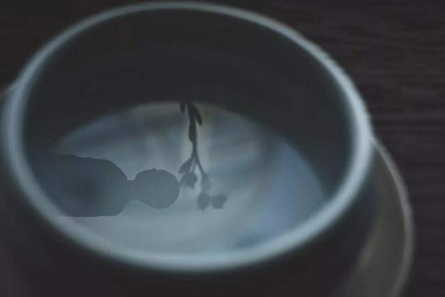 一岁一寒一春秋，一草一木一参花。