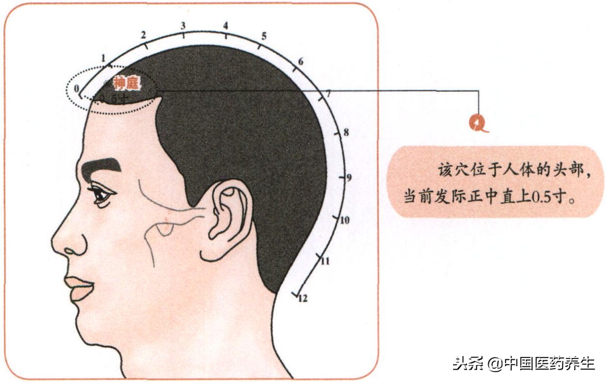过敏性鼻炎揉按哪个穴最快,鼻炎的取穴和配穴