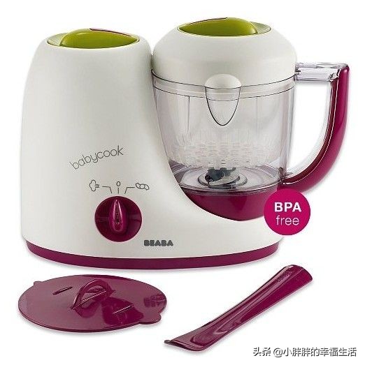 婴儿补铁辅食6-12个月的辅食做法,婴儿辅食6-12个月的辅食菜谱书