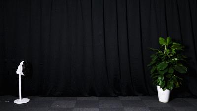 699的东方戴森，搞了个“果岭风”，5度电能吹整个夏天