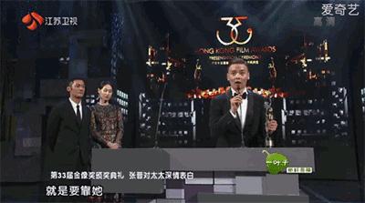 香江美人传奇李嘉欣,香江美人传奇洪欣