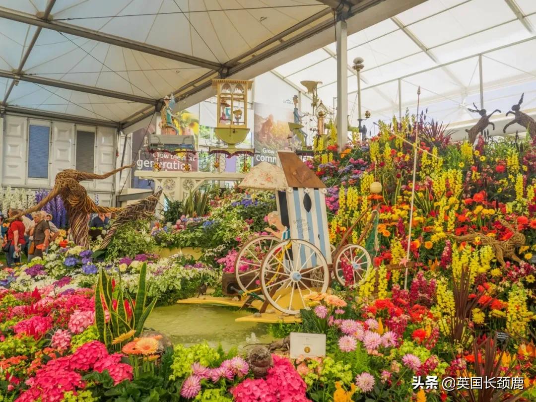 520/521：五月阳光下，伦敦依然盛放。记得常回来看看