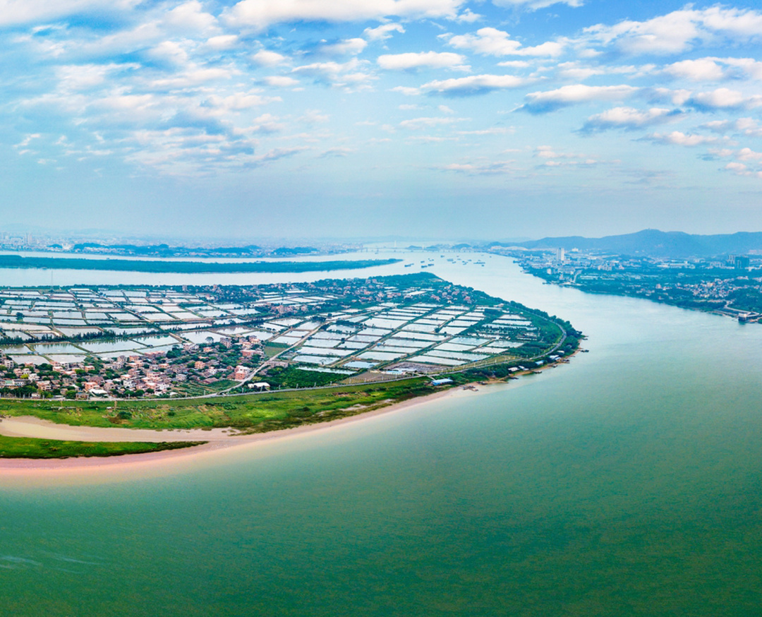 佛山是怎么成为武术之乡的?