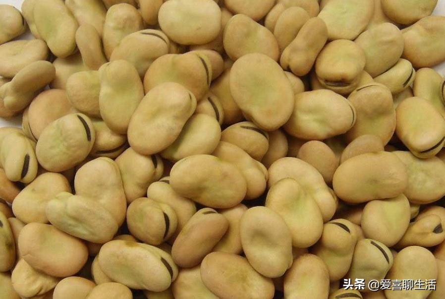 蚕豆酥脆好吃做法,春季的蚕豆这样做酥烂又好吃