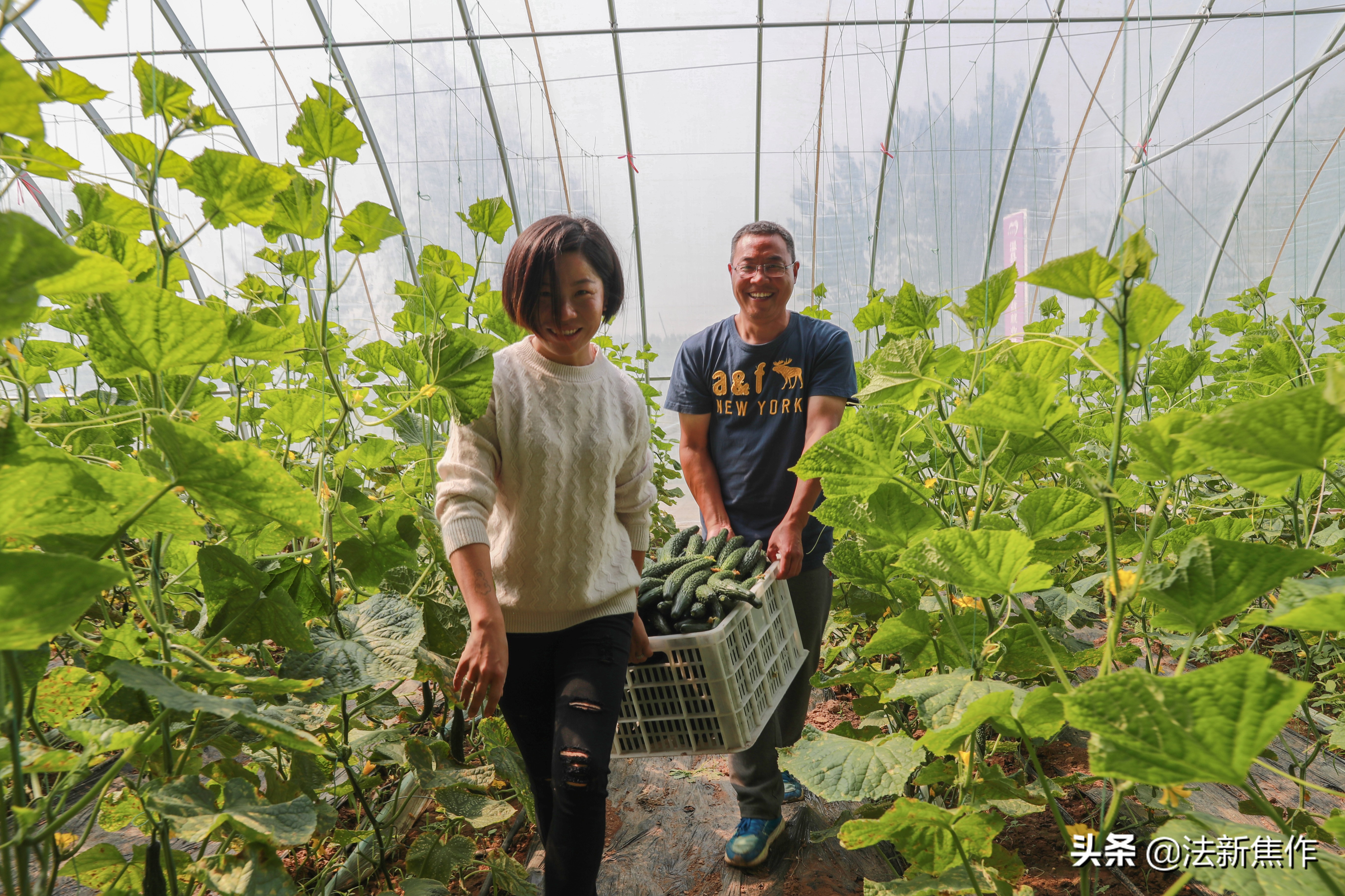 建党百年感人诗歌,献礼建党百年诗