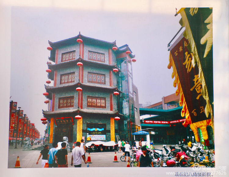 看洛阳牡丹花卉节,洛阳古都牡丹花展