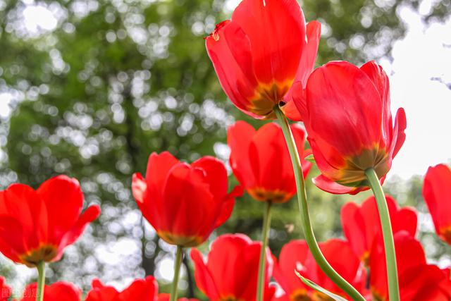 男人30多岁还没有结婚,要么开心豁达自由自在,要么唉声叹气