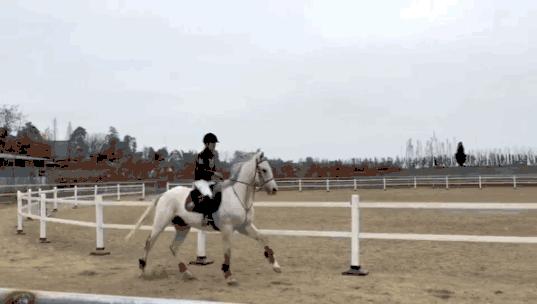 游记|来和兴吧！这里的美景美食每一样都超skr~