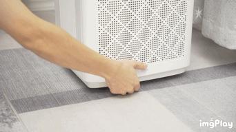 买空气净化器是不是交智商税,吸猫毛的空气净化器是智商税吗