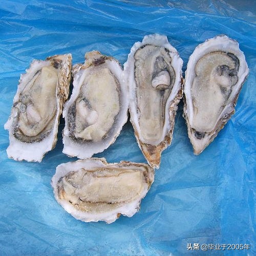 大连常见的海鲜美食都有哪些,大连海鲜吃货大全