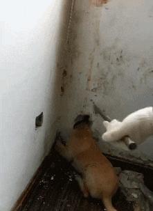 不联系的同学借钱怎么高情商回复,怎么回复借钱的同学