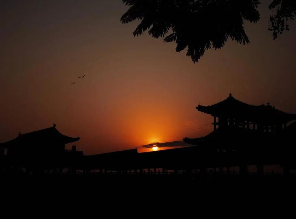 2020年摄影点评部分低分照片合集(下)(前方大量熊猫出没)