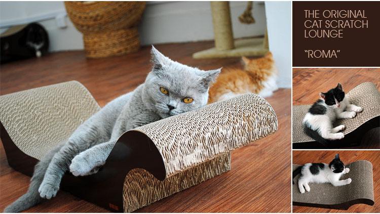 猫耳螨怎么彻底根治,猫耳螨怎么治疗最有效