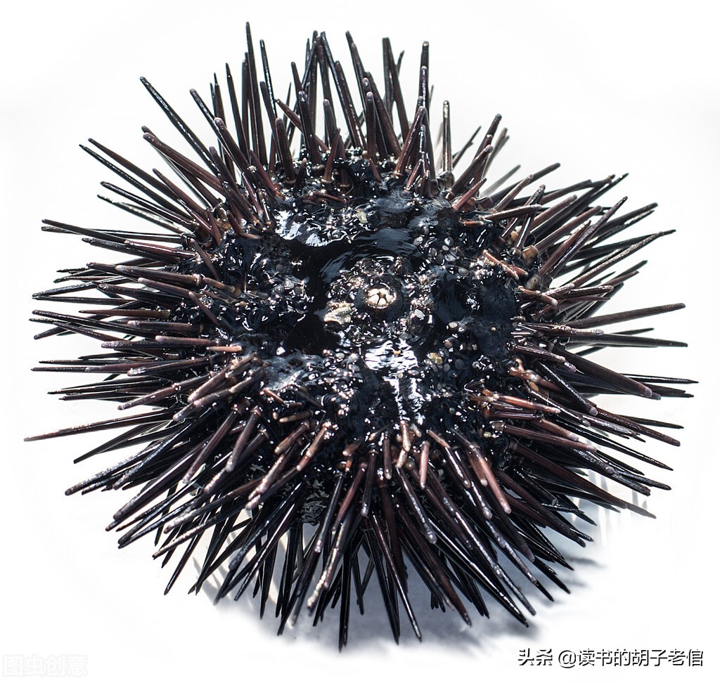 中年人怎么排解消极情绪,中年人怎样排除负面情绪