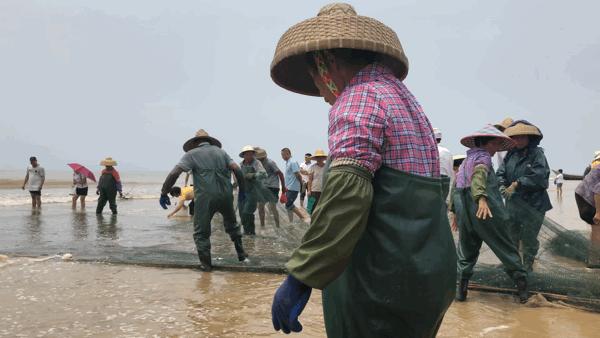 吴阳海鲜直播,吴阳金海岸出海直播