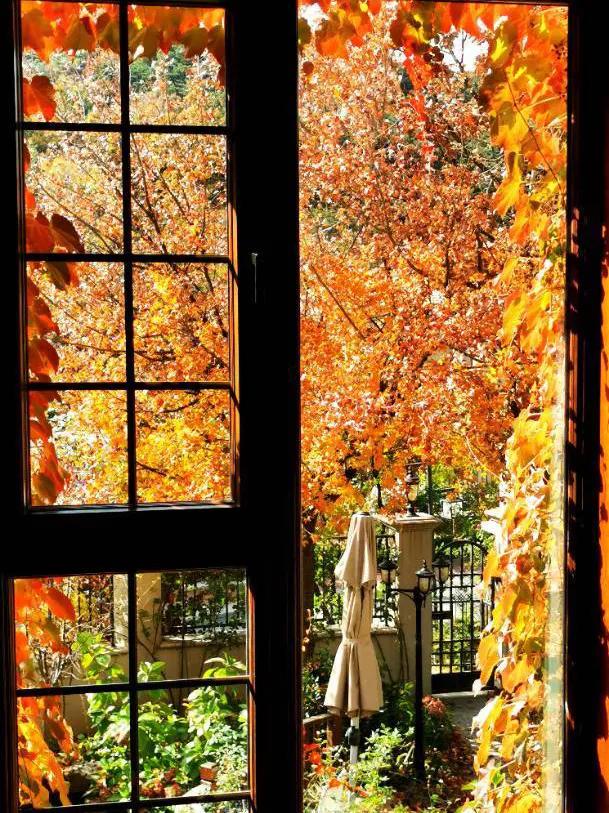 东北花园四季开花植物,北方一年四季都开花的花园