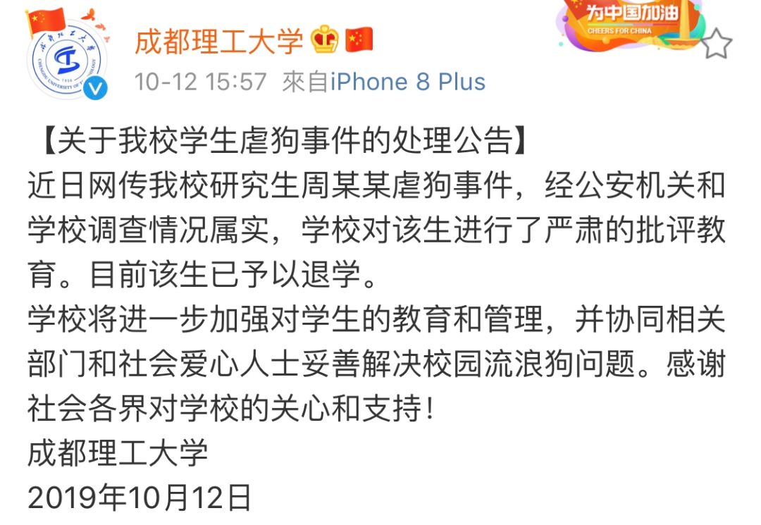 高校研究生杀流浪狗,成都高校研究生虐狗事件