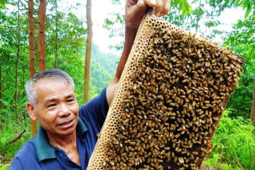 小城镇小本创业项目推荐,个人小本创业项目推荐