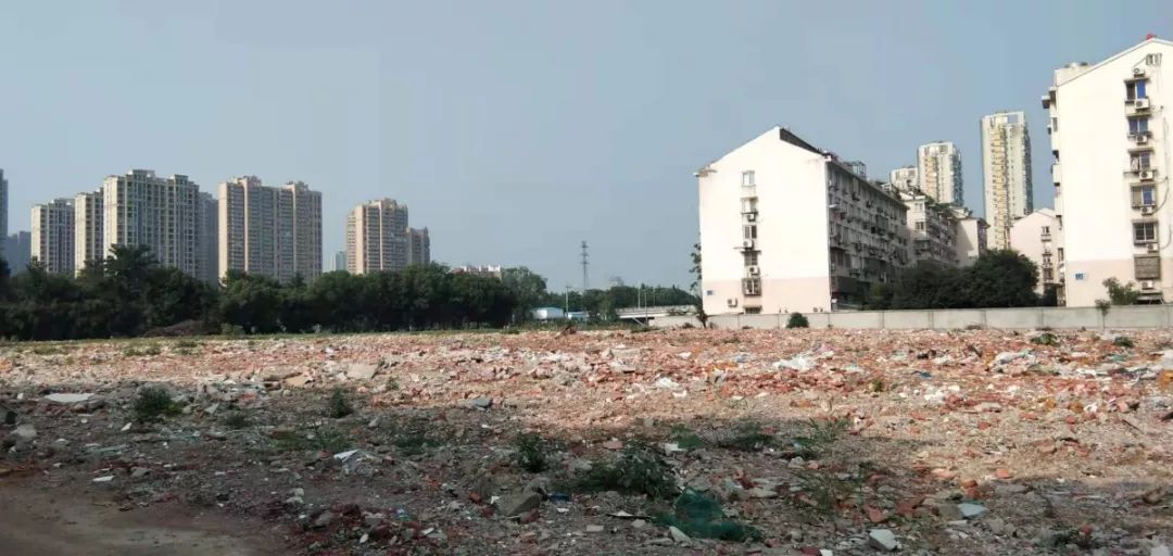 探地水产市场！中产貌平女孩招婿，青年才俊抢否？