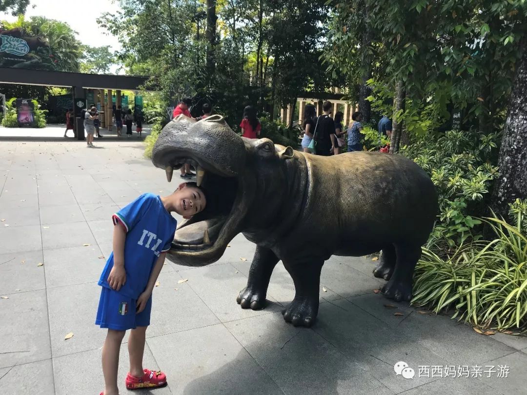 新加坡一天来回马来西亚乐高乐园,乐高马来西亚旅游记