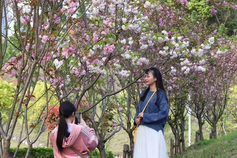 井冈山大学在井冈山上吗？19级萌新请听清——吉安火车站下车