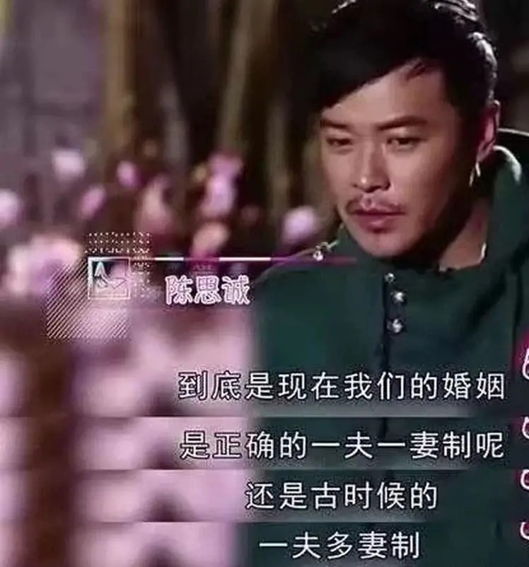 陈思诚是花花公子吗,陈思诚的成名往事