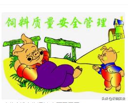 六和益民,六和饲料价格行情