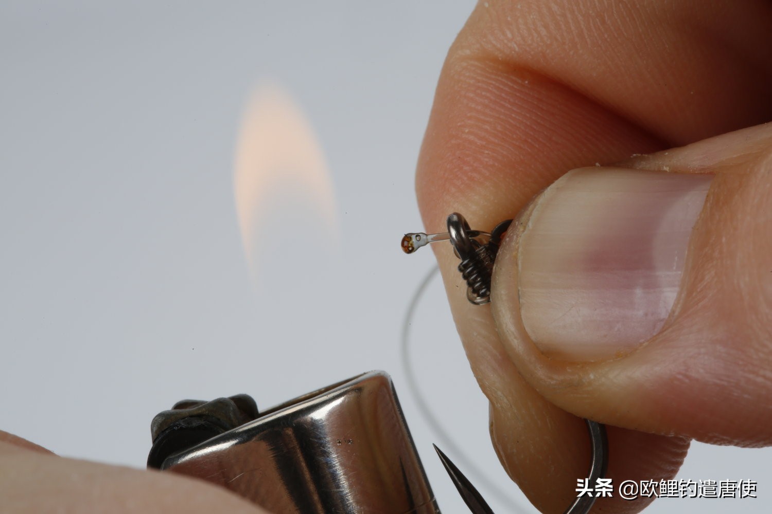 欧鲤钓钓组篇,欧鲤钓组和飞德钓组