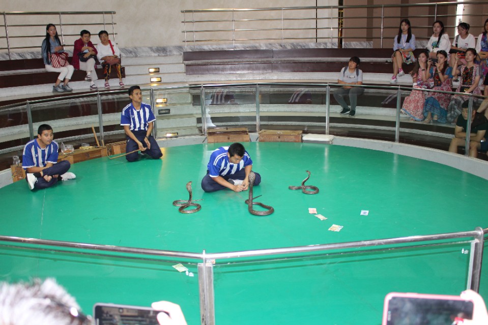 泰国游记5免费观看,泰国游记5