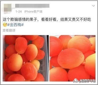 金西梅水果五颜六色,金西梅网红介绍