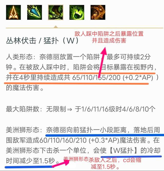 lol豹女有多厉害,lol增强与削弱