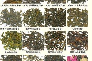 各种名茶样品,各种名茶及图片