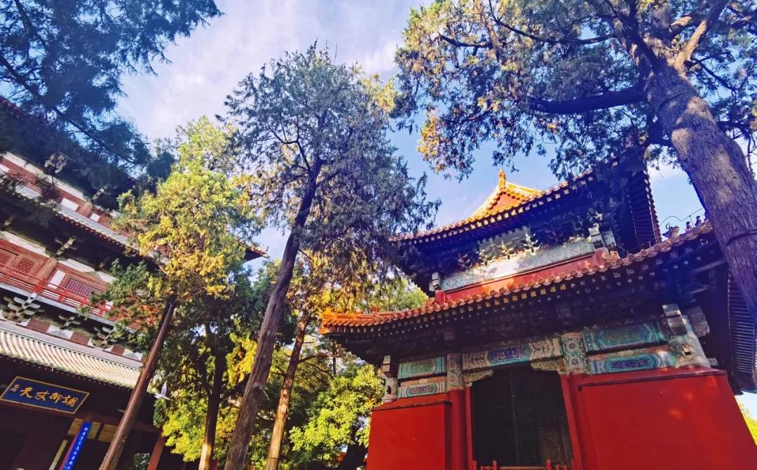 剪一段时光诉说一季的风景,剪一段时光诉说游走的风景