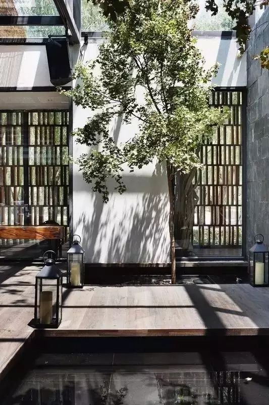 中国人的院子,中国人的院子深度解析