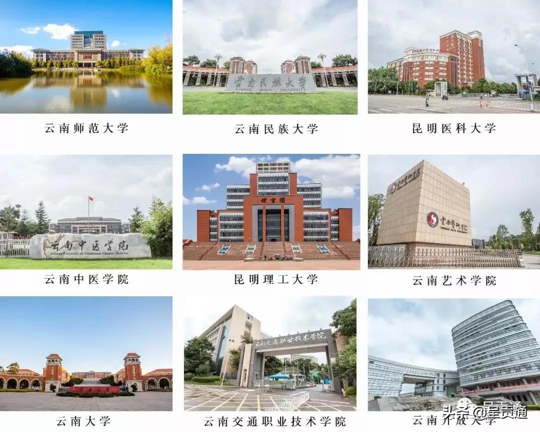 关于呈贡的介绍,呈贡的发展