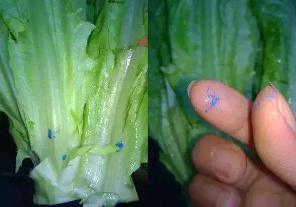 蔬菜上蓝色农药残留是啥,青菜叶上有蓝色东西是农药残留吗