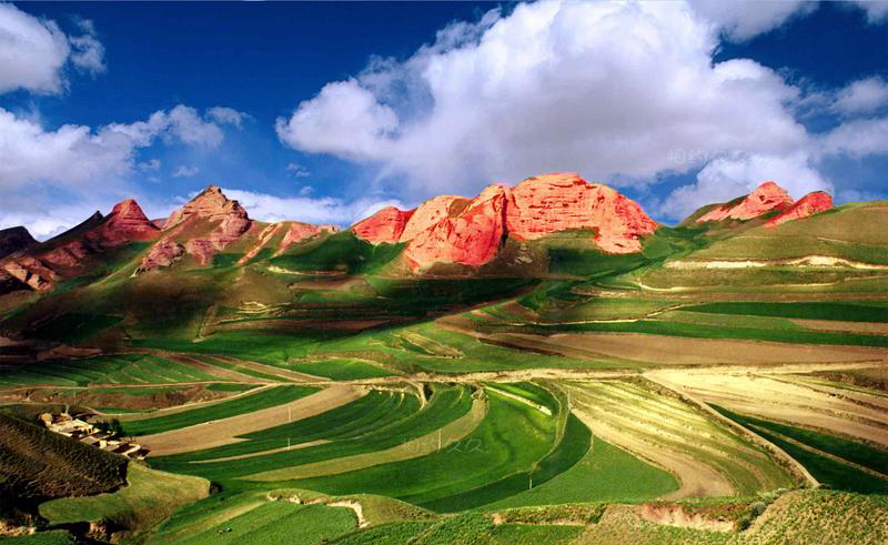 甘肃最帅10大男星,甘肃全省帅哥