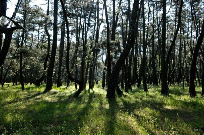 30万在威海买的房子,30万首付在威海买的房子