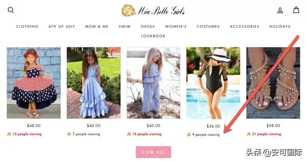 馋销量？看这13个独立站品牌如何花式为自己“带盐”