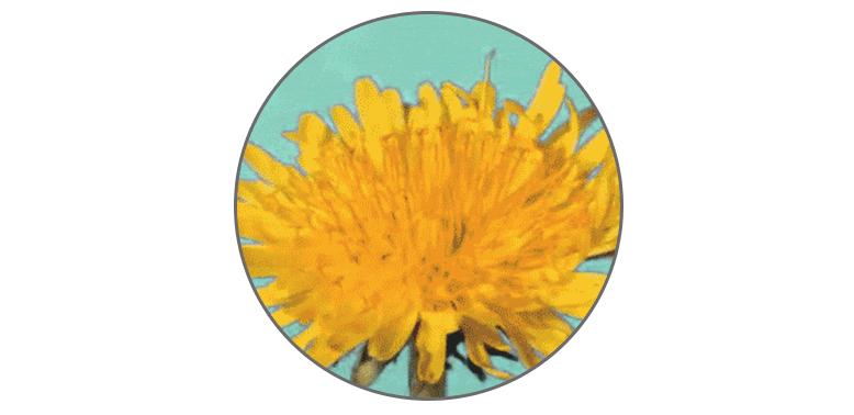 肛肠科医生的手指为什么这么粗,肛肠科医生用手指做检查